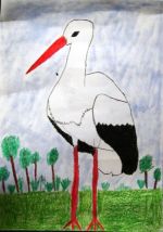 Kučmaš Slavomír.jpg